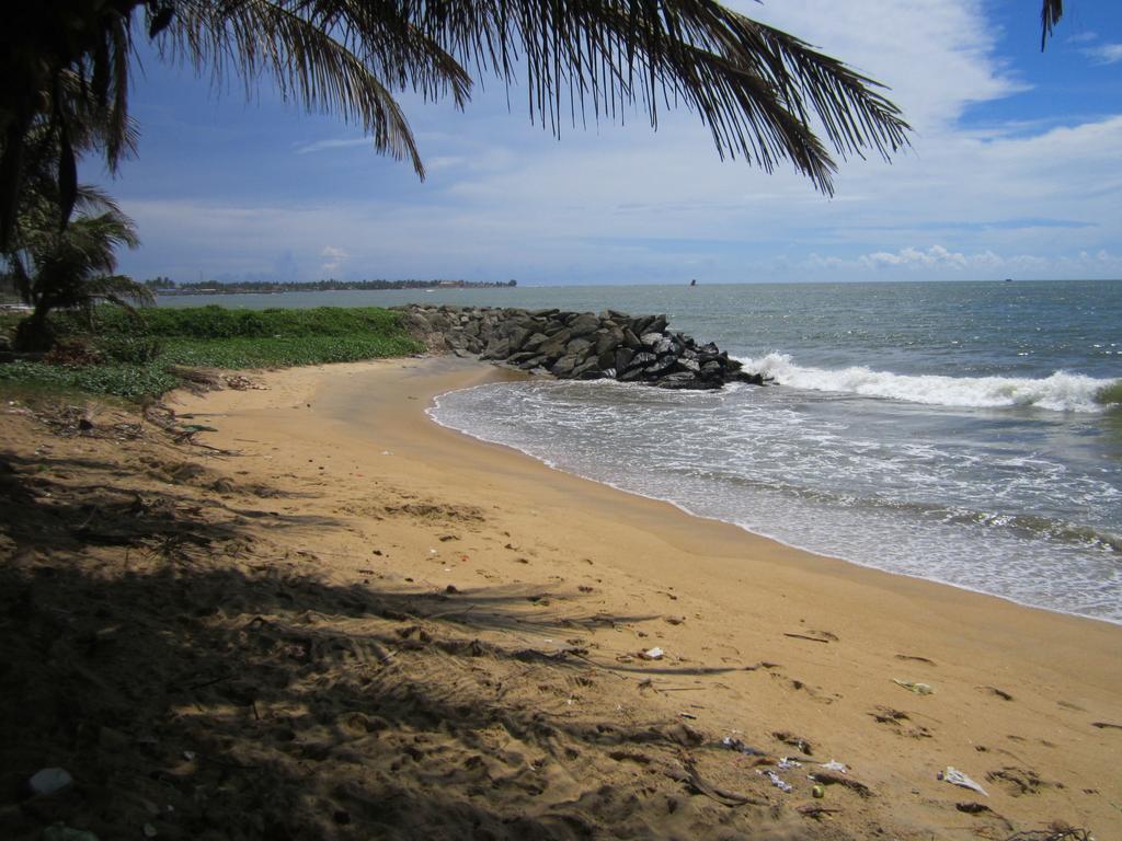 Anicia Beach House Hotel Negombo Exterior photo