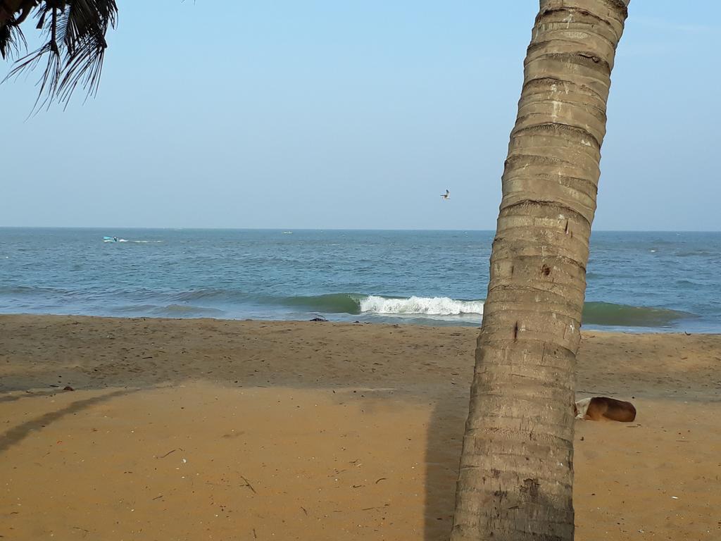 Anicia Beach House Hotel Negombo Exterior photo